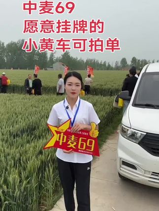 农三甲中麦69,三浦田,中麦69小麦种子!一代头批精播粮,现货现发#三农 #抖音助农扶农 @抖音小助手