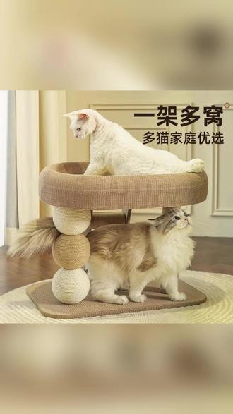 喵仙儿小户型不占地猫爬架带猫窝麻绳抓柱一体攀爬跳台磨爪球玩具 #猫爬架 #猫窝 #磨爪子 #猫窝推荐 #猫咪玩具