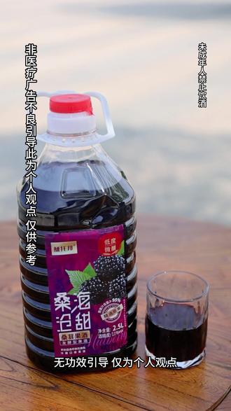 喝酒怕胀肚、怕上头?试试这款桑葚酒,自然发酵果香浓郁。#桑葚酒 #果酒 #微醺时刻