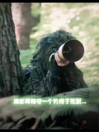 正宗牛肉丸厂家批发,真材实料、口感Q弹#潮汕牛肉丸#牛肉丸#潮汕美食#牛杂