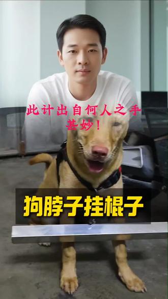 强烈推荐:外出的所有毛孩子都能如此操作;可有效减少伤人事件!#百姓生活 #人间烟火 #农村生活 #狗