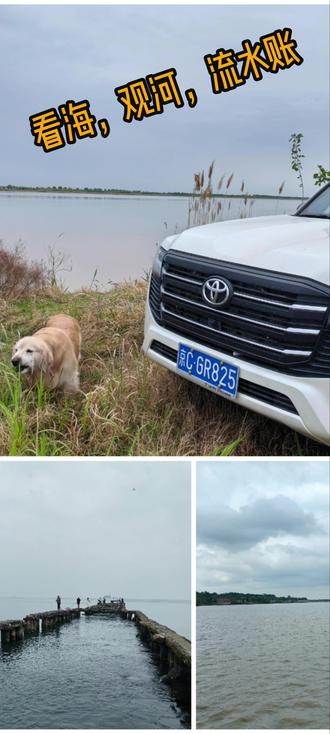 看海!观河!流水账! 天津:
1、东堤公园,免费,位置便利,环境氛围不错,适合天气好的时候游玩,露营⛺️,看海好地方,日出日落会不错,推荐
2、风车大道,周边已经被铁栅栏封闭,内部比较脏乱,不推荐
黄骅:
1、孤东海堤,免费,看海好地方,推荐
2、金沙滩风景区,导航3号门,免费,人少,玩沙子的好地方,推荐
3、贝壳湖公园,免费,跑步绕圈不错,推荐
4、羊肠汤:非常美味,推荐
东营:
1、野生黄河,免费,导航四矿综合商店,到了之后继续往前开,到头之后下坡进入内部小路,可以开到岸边,注意不要损坏农用设施
2、黄河口文化公园,免费,登黄河龙亭观景很不错,天气好的时候露营⛺️,日出日落会不错,推荐
3、清风湖城市公园,免费,山东省最大的城市公园,环境优美,推荐
4、海鲜砂锅粥、鲅鱼水饺、糁:非常美味,推荐
5、没想到东营的新城区建设的这么好,真正做到了人与环境和谐共生,是一个不错的旅居地
#天津东堤公园 #孤东海堤 #金沙滩风景区 #清风湖 #东营