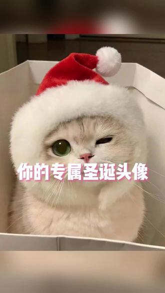 圣诞头像轻松拿捏 #情侣日常 #圣诞节 #修图 #情侣头像 #p图