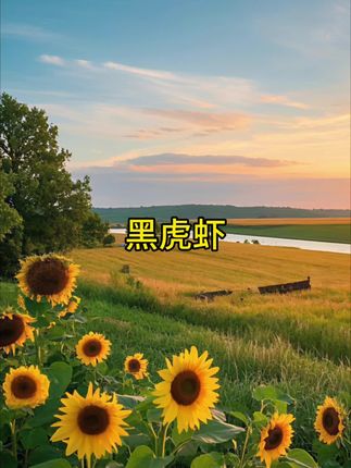 #黑虎虾#大虾