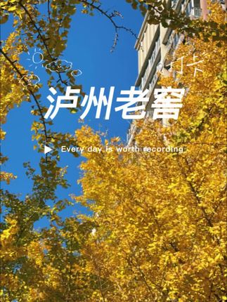 不缺席的陪伴是对孩子最好的富养,童年只有一次爸爸不该变成奢侈品,工作之余要多陪陪孩子,因为那是他们长大后最大的安全感#亲子#父母#陪伴