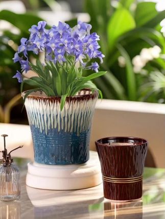 #陶瓷花盆#透气花盆#养花人#软装搭配#花卉绿植@巨量千川 @DOU+小助手 @DOU+上热门