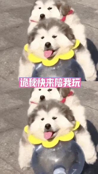 诡秘快来陪我拿捏这个Pata#pata#游戏#闺蜜