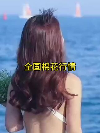 #棉花价格 全国的价格,棉花,你可以收藏,点赞不点赞无所谓,为了咱们家人棉花价格让你多知道一点行情!#头条