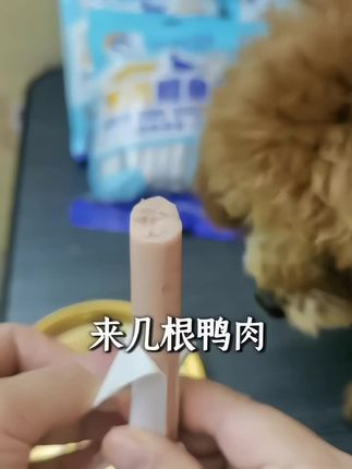 就是这#露思鸭肉鳕鱼肠 9.9到手30根趁现在活动价赶紧薅#宠物零食 #狗零食 #宠物火腿肠