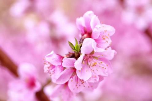 昨晚几个小时的成果太好听了❤️