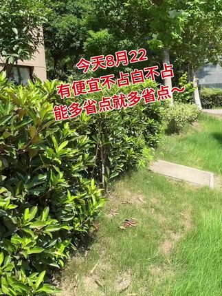 #小区一角也有美丽风景 #生活碎片