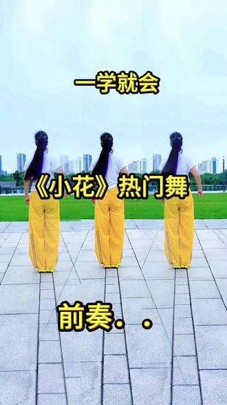 #小花 #零基础学舞蹈 #广场舞 #简单易学 @抖音小助手 @洁淼舞蹈