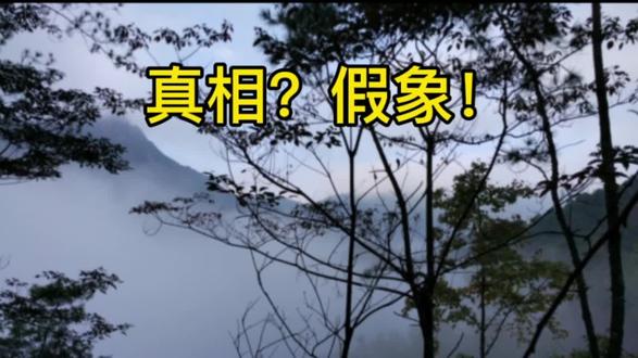 光模块,印刷电路板,CPO PCB