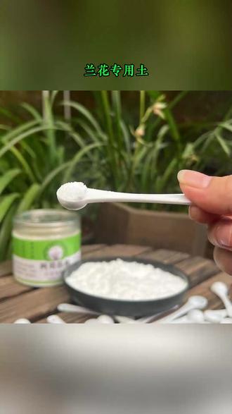 阿司匹林浸泡兰根,可以让兰花服盆速度快1倍,阿司匹林中的水杨酸具有增根壮苗抗病抑菌的作用,长期使用兰花长得壮少生病 #兰花种植 #兰花 #养花小知识 #小阳台养花