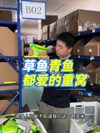 嫩玉米窝料#窝料 #玉米窝料 #草鱼饵料 #草鱼窝料 #大鱼窝料