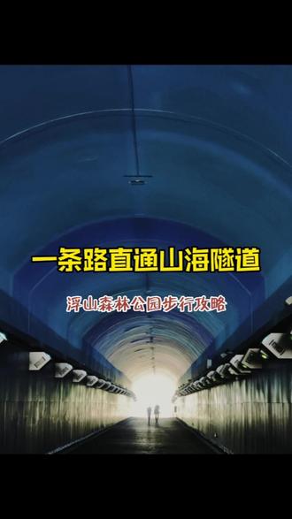 青岛浮山森林公园里藏着的山海隧道步行攻略,防走失不迷路😃
#青岛景点推荐 #青岛旅游攻略 #拾壹行走的日子 #青岛浮山森林公园