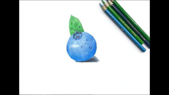 分享一个彩铅蓝莓🫐#彩铅手绘 #画画🎨 #一看就会