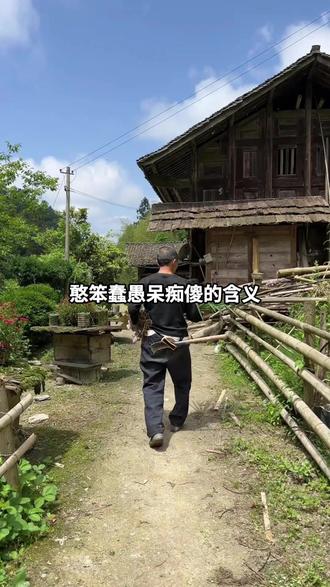 带你认识,憨,呆,蠢,痴,傻,愚