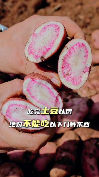 吃土豆后千万不能吃的东西,快来学起来。 #花心土豆 #花心土豆片 #抽象 #搞笑#知识科普