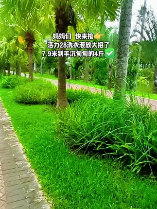 活力20洗衣液7.9米4斤装 这也太实在了,其实我也不想买呀,可是这样的一袋四斤九块九还给咱包邮哦,七十年的老品牌了,这也不加那也不加的,薰衣草的香味还持久留香,不仅洗的干净,泡沫也丰富,我实在没忍住呀。#强烈推荐 #生活必备 #活力28洗衣液#洗衣液推荐 #好物推荐分享