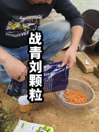 专攻大青大草佳钓尼刘颗粒,现在一次性拍两包送带皮筋挂钩粗颗粒一罐,多拍多送 #刘颗粒 #佳钓尼刘颗粒 #青鱼颗粒 #青鱼颗粒窝料 #钓鱼颗粒