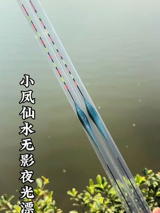 小凤仙咬钩变色夜光漂、#水无影电子漂、高灵敏夜钓漂秋季夜钓神器、大物专用浮漂、抗风浪电子漂#钓鱼技巧 #浮漂鱼漂 #夜光漂 #浮漂