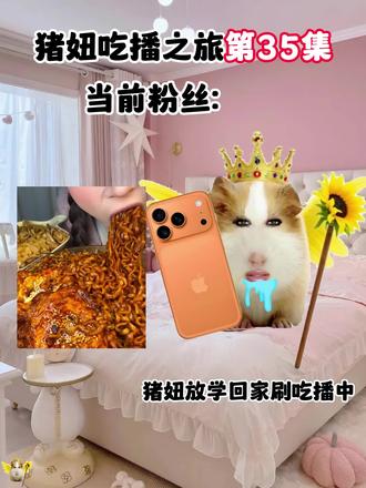 猪妞吃播第三十六集,你会支持猪妞嘛! #猪妞小剧场 #猪妞 #猪妞日常