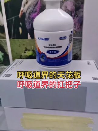 呼吸道界的天花板,呼吸道界的扛把子!#鸽子#养鸽人#信鸽赛鸽#赛鸽#鸽子养殖技术