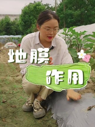 地膜的作用有哪些? #地膜 #种植小技巧 #关注我一起学种菜 #自己种的纯天然的绿色蔬菜 #我的小菜园