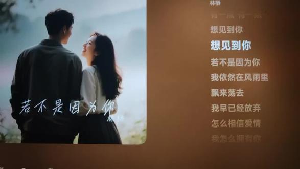 最近被洗脑了#二十一世纪大君夫人