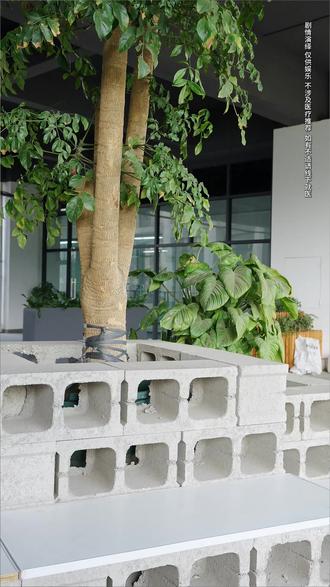 只有重生成牛顿的人才能学会这款花椒雪梨润润水! #护肤 #减肥 #养生 #变美变瘦变好看 #养颜