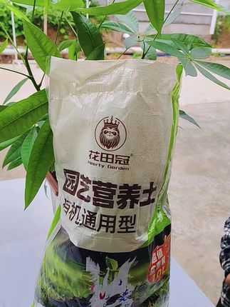 #营养土