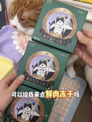 #飞派 #吃货猫 #猫咪的迷惑行为