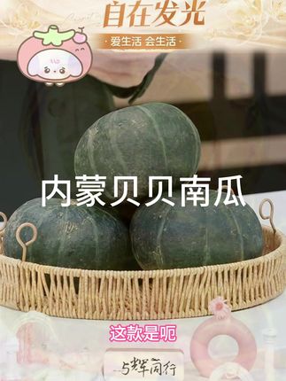 内蒙沙地贝贝瓜粉糯香甜,现摘现发 #南瓜 #贝贝南瓜 #内蒙古贝贝南瓜 #小南瓜 #分享好物