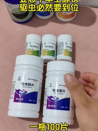 #养羊#养牛#养猪#养殖