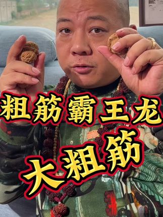 #文玩爱好者 #粗筋霸王龙 #大粗筋