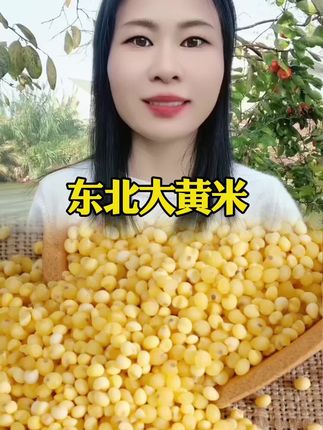 #大黄米 #粗粮 #五谷杂粮 #优质农产品 #东北大黄米