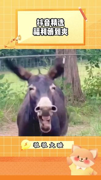 抖音精选福利薅到爽 #抖音精选 #抖音精选宠粉福利