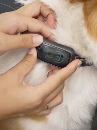 语音喊话训狗器动物电击项圈训狗神器止吠器放羊神器500米1000米#语音 #喊话 #训狗 #点击 #项圈