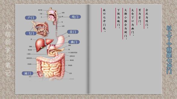 难经 · 四十四难 介绍7个消化道的重要关口、分界点。
1.有些名称即使在现代医学中也有沿用,比如“贲门”。惯常读“bēn“,作专有名词。训怙可能读“fèn”,表示从食道到胃的突然膨大、扩张;
2.记忆即可,搞清楚意思会记得牢一点不会乱,无论如何都是为了便于交流。