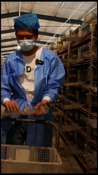 鹌鹑养殖 一天20万枚!无抗鹌鹑蛋怎么生产?在湖北省仙桃市九合垸原种场,自耕农业公司标准科学养殖,让鹌鹑蛋健康安全、市场俏销。
#鹌鹑 #鹌鹑蛋 #无抗养殖 #仙桃