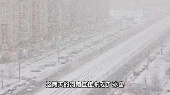 河南郑州洛阳三门峡鹅毛大雪一下,直接把城市变成冰雪世界模式