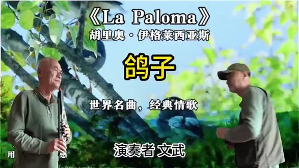一个人的乐队演奏,西班牙歌曲,鸽子。