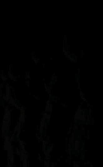 #如果战斗今夜打响 #火力全开 战友,你准备好了吗!