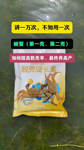 虾蟹脱壳慢?用它脱壳率和成活率都能提! 讲一万次,不如用一次,螃蟹第一壳脱壳尾声和第二壳脱壳,如提让脱壳的螃蟹增多提高脱壳率,达到养高产是目的。