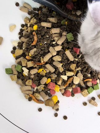 80多万养猫人的选择,博玛冻干猫粮#科学养宠攻略 #萌宠好物 #猫粮