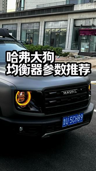 哈弗大狗音响均衡器参数如何调节音效最好,均衡器参数推荐#哈弗大狗 #哈弗 #带你懂车 #均衡器调节 #音响