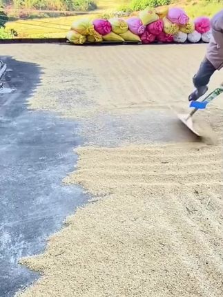 收粮食支撑架#农具 #三农 #粮食 #省时省力 #农业机械 @DOU+小助手