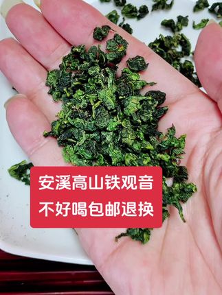 正宗安溪铁观音#兰花香铁观音#浓香铁观音书