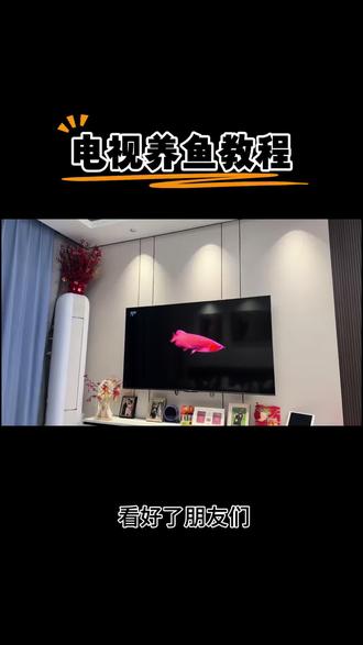 伏脂辌辍木牛流洞座
电视养鱼教程来啦#电子养鱼#养鱼#电视养鱼教程#电视屏保设置 #观赏鱼